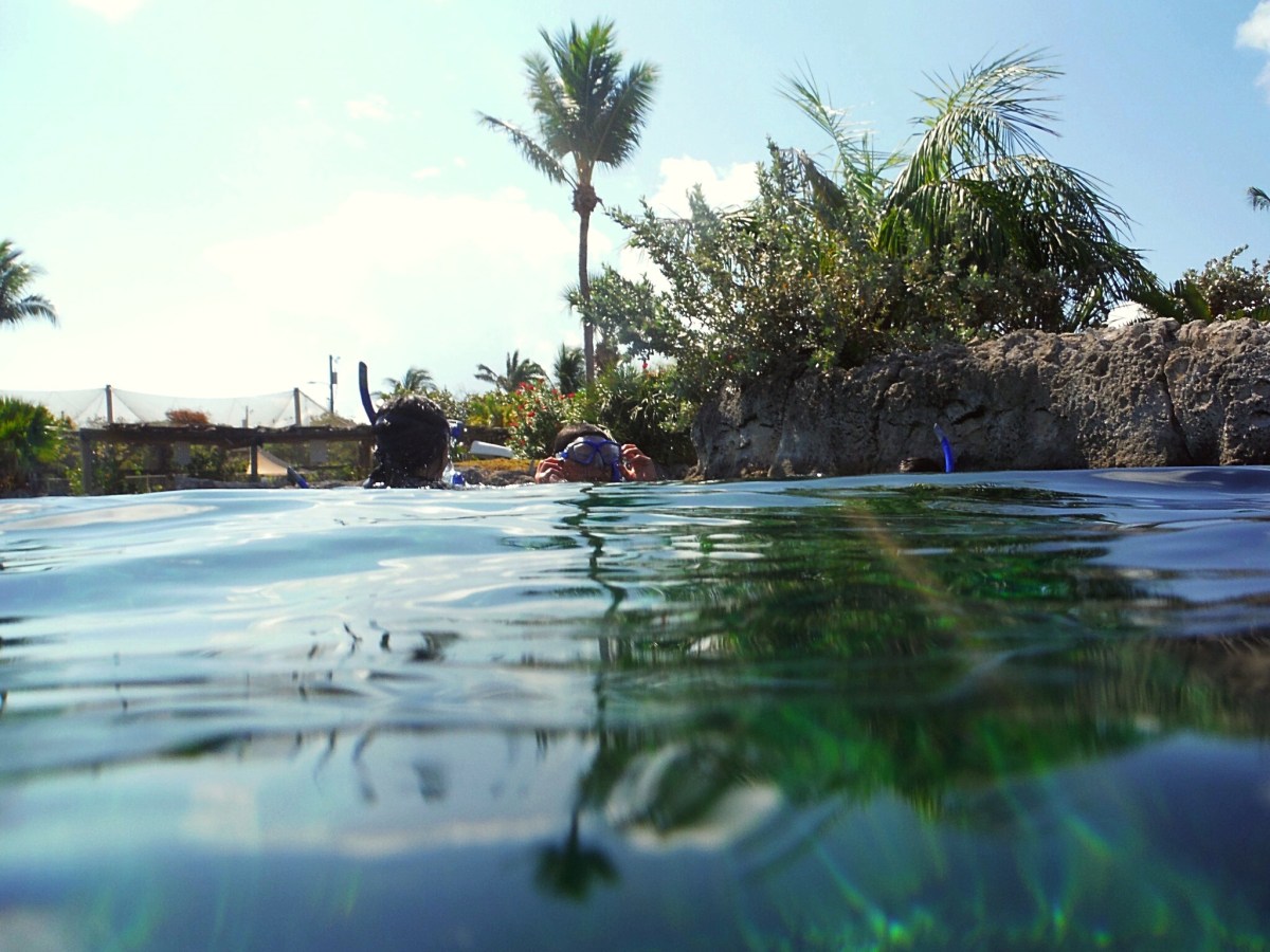 How to Cruise Like a&nbsp;Pro!